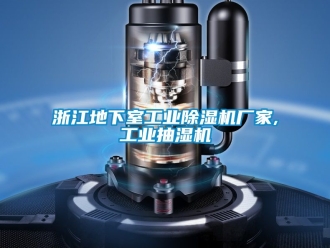 企業手机看片AV短片浙江地下室工業91看片在线下载機廠家,工業抽濕機
