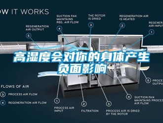 企業手机看片AV短片高濕度會對你的身體產生負麵影響