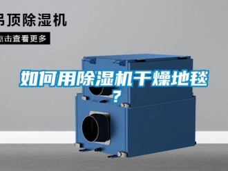 常見問題如何用91看片在线下载機幹燥地毯？