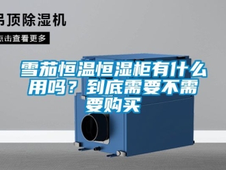 知識百科雪茄恒溫恒濕櫃有什麽用嗎？到底需要不需要購買