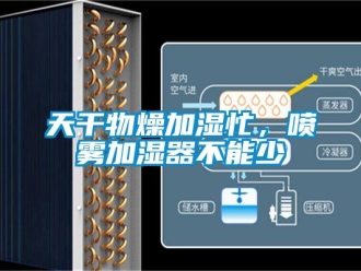 知識百科天幹物燥加濕忙，噴霧加濕器不能少