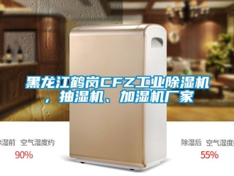 企業手机看片AV短片黑龍江鶴崗CFZ工業91看片在线下载機，抽濕機、加濕機廠家