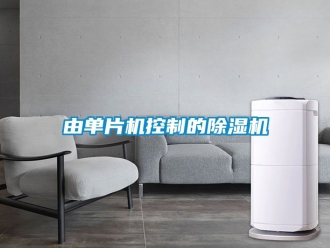 行業手机看片AV短片由單片機控製的91看片在线下载機