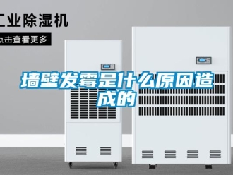行業手机看片AV短片牆壁發黴是什麽原因造成的