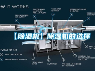 企業手机看片AV短片【91看片在线下载機】91看片在线下载機的選擇