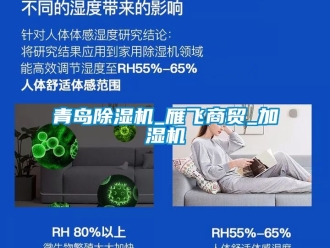 行業手机看片AV短片青島91看片在线下载機_雁飛商貿_加濕機