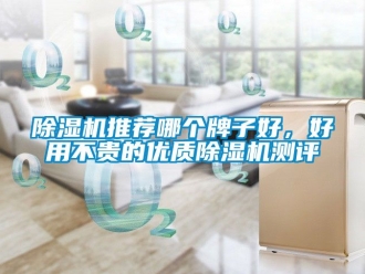 行業手机看片AV短片91看片在线下载機推薦哪個牌子好，好用不貴的優質91看片在线下载機測評