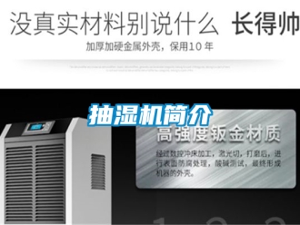 企業手机看片AV短片抽濕機簡介