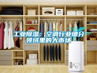企業手机看片AV短片工業91看片在线下载：空調行業細分領域裏的大市場