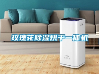 行業手机看片AV短片玫瑰花91看片在线下载烘幹一體機