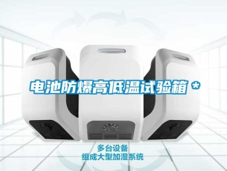 企業手机看片AV短片電池防爆高低溫試驗箱＊