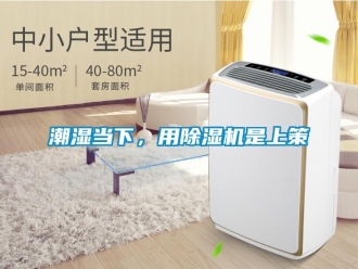 企業手机看片AV短片潮濕當下，用91看片在线下载機是上策