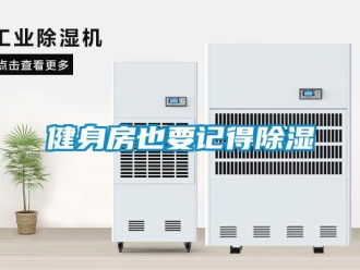 行業手机看片AV短片健身房也要記得91看片在线下载