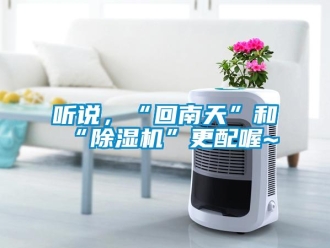 知識百科聽說，“回南天”和“91看片在线下载機”更配喔~