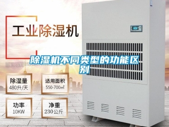 企業手机看片AV短片91看片在线下载機不同類型的功能區別