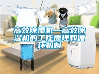 行業手机看片AV短片高效91看片在线下载機—高效91看片在线下载機的工作原理和循環機製