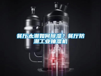 常見問題餐廳太潮如何91看片在线下载？餐廳防潮工業抽濕機