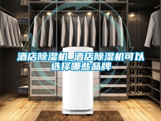 企業手机看片AV短片酒店91看片在线下载機_酒店91看片在线下载機可以選擇哪些品牌