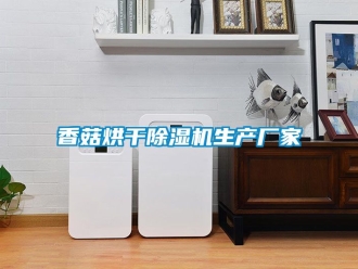 企業手机看片AV短片香菇烘幹91看片在线下载機生產廠家