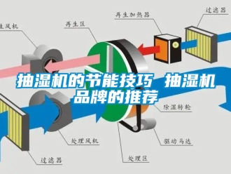 企業手机看片AV短片抽濕機的節能技巧 抽濕機品牌的推薦