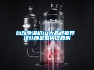 企業手机看片AV短片自動91看片在线下载機10大品牌推薦 這些都是值得信賴的