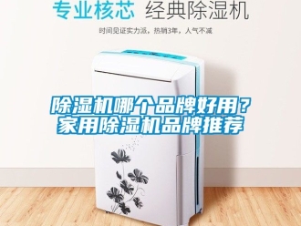 企業手机看片AV短片91看片在线下载機哪個品牌好用？家用91看片在线下载機品牌推薦