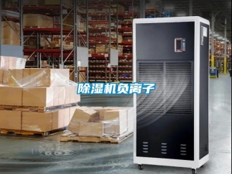行業手机看片AV短片91看片在线下载機負離子
