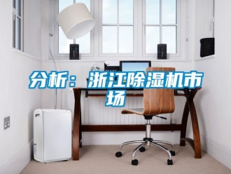 企業手机看片AV短片分析：浙江91看片在线下载機市場