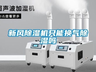 常見問題新風91看片在线下载機隻能換氣91看片在线下载嗎
