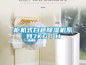 行業手机看片AV短片櫃機式白色91看片在线下载機係列7KG／H