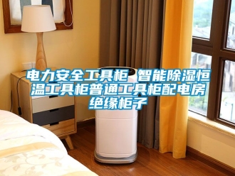 知識百科電力安全工具櫃 智能91看片在线下载恒溫工具櫃普通工具櫃配電房絕緣櫃子