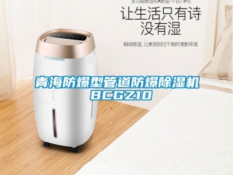 企業手机看片AV短片青海防爆型管道防爆91看片在线下载機 BCGZ10