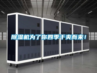 行業手机看片AV短片91看片在线下载機為了你四季幹爽而來！