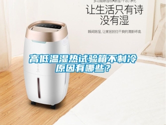 常見問題高低溫濕熱試驗箱不製冷原因有哪些？