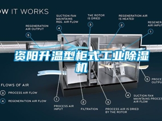 常見問題資陽升溫型櫃式工業91看片在线下载機