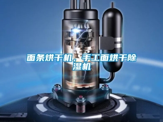 行業手机看片AV短片麵條烘幹機，手工麵烘幹91看片在线下载機