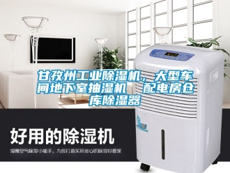 常見問題甘孜州工業91看片在线下载機，大型車間地下室抽濕機  配電房倉庫91看片在线下载器