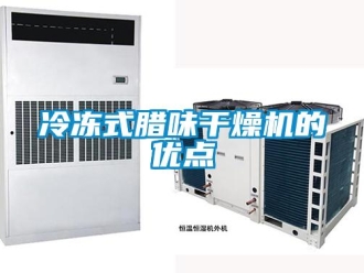 行業手机看片AV短片冷凍式臘味幹燥機的優點