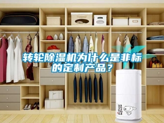 常見問題轉輪91看片在线下载機為什麽是非標的定製產品？