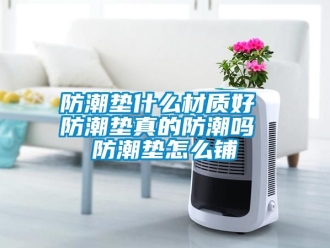 常見問題防潮墊什麽材質好 防潮墊真的防潮嗎 防潮墊怎麽鋪