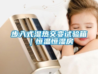 知識百科步入式濕熱交變試驗箱｜恒溫恒濕房