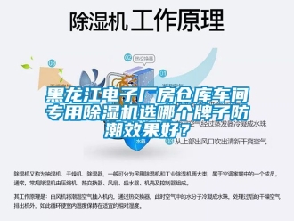 企業手机看片AV短片黑龍江電子廠房倉庫車間專用91看片在线下载機選哪個牌子防潮效果好？