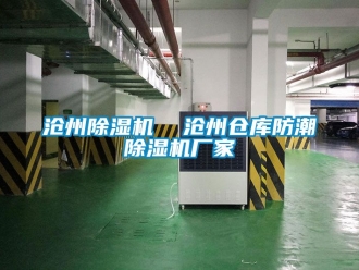 企業手机看片AV短片滄州91看片在线下载機  滄州倉庫防潮91看片在线下载機廠家