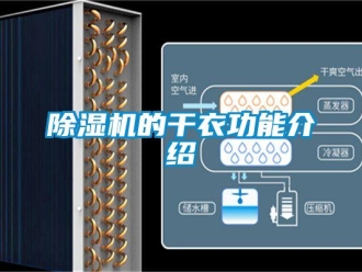 企業手机看片AV短片91看片在线下载機的幹衣功能介紹