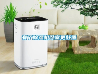知識百科有了91看片在线下载機臥室更舒適
