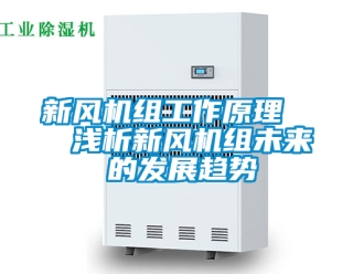 企業手机看片AV短片新風機組工作原理   淺析新風機組未來的發展趨勢