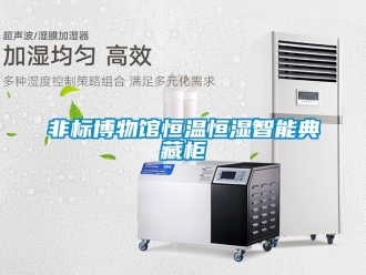 知識百科非標博物館恒溫恒濕智能典藏櫃
