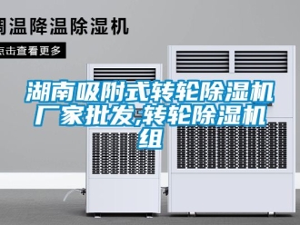 企業手机看片AV短片湖南吸附式轉輪91看片在线下载機廠家批發,轉輪91看片在线下载機組