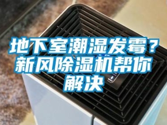 企業手机看片AV短片地下室潮濕發黴？新風91看片在线下载機幫你解決