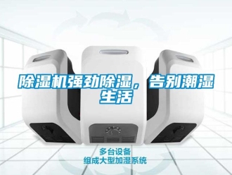 行業手机看片AV短片91看片在线下载機強勁91看片在线下载，告別潮濕生活